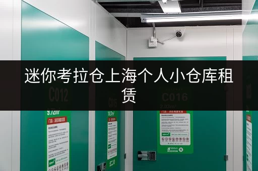 迷你考拉仓上海个人小仓库租赁,省钱攻略大揭秘! 迷你考拉仓上海个人小仓库租赁,省钱攻略大揭秘!