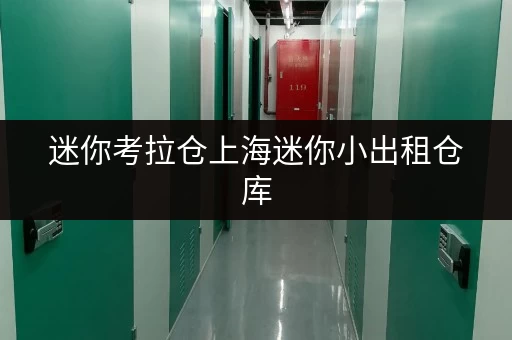 迷你考拉仓上海迷你小出租仓库,随存随取,生活无忧 迷你考拉仓上海迷你小出租仓库,随存随取,生活无忧