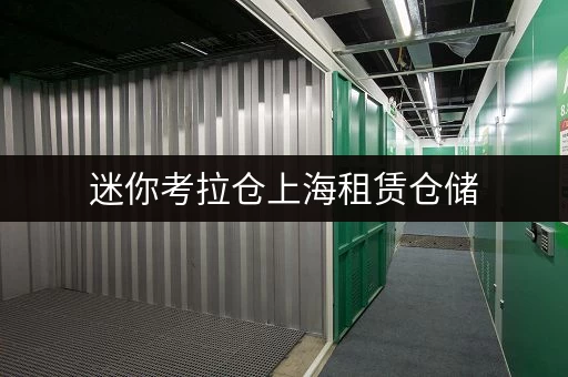迷你考拉仓上海租赁仓储,安全守护您的每一件宝贝 迷你考拉仓上海租赁仓储,安全守护您的每一件宝贝