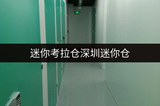 迷你考拉仓深圳迷你仓，价格透明，存取便捷，你的私人空间管家