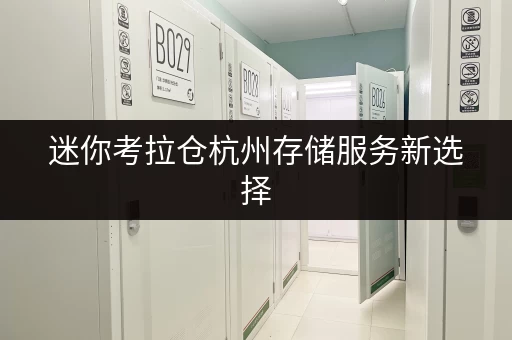 迷你考拉仓杭州存储服务新选择，迷你考拉仓带你轻松存取