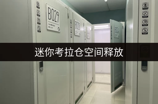 迷你考拉仓空间释放，品质生活——北京迷你仓库出租，打造家的第二空间