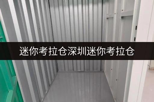 迷你考拉仓深圳迷你考拉仓，揭秘如何选择最合适的仓储面积