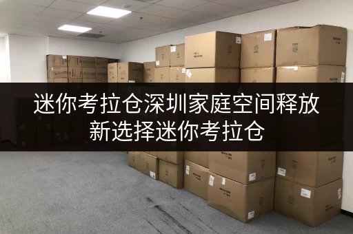迷你考拉仓深圳家庭空间释放新选择迷你考拉仓，品质生活好帮手
