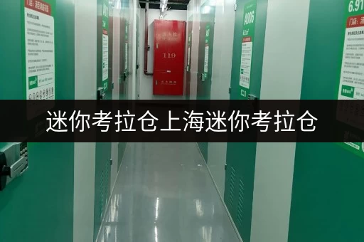 迷你考拉仓上海迷你考拉仓,价格透明,随存随取,便捷无忧 迷你考拉仓上海迷你考拉仓,价格透明,随存随取,便捷无忧