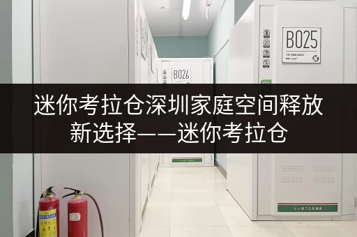 迷你考拉仓深圳家庭空间释放新选择——迷你考拉仓,品质生活空间升级攻略 迷你考拉仓深圳家庭空间释放新选择——迷你考拉仓,品质生活空间升级攻略