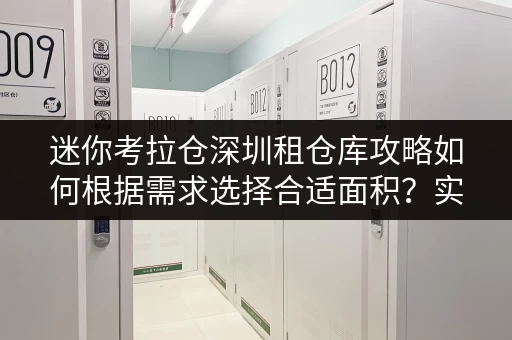 迷你考拉仓深圳租仓库攻略如何根据需求选择合适面积？实用案例解析