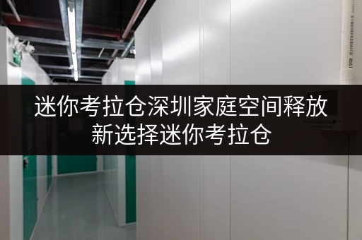 迷你考拉仓深圳家庭空间释放新选择迷你考拉仓，品质生活从此无忧