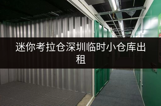 迷你考拉仓深圳临时小仓库出租，存取便利与全时段服务，让生活无忧