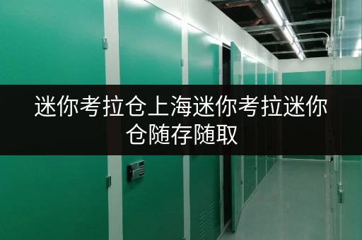 迷你考拉仓上海迷你考拉迷你仓随存随取,生活空间更自在 迷你考拉仓上海迷你考拉迷你仓随存随取,生活空间更自在