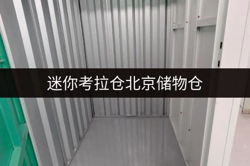 迷你考拉仓北京储物仓,随时随地,轻松存取 迷你考拉仓北京储物仓,随时随地,轻松存取