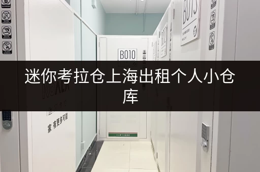 迷你考拉仓上海出租个人小仓库,面积选择攻略与实用案例分享 迷你考拉仓上海出租个人小仓库,面积选择攻略与实用案例分享