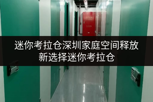 迷你考拉仓深圳家庭空间释放新选择迷你考拉仓,让生活更美好 迷你考拉仓深圳家庭空间释放新选择迷你考拉仓,让生活更美好