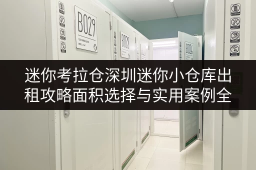 迷你考拉仓深圳迷你小仓库出租攻略面积选择与实用案例全解析 迷你考拉仓深圳迷你小仓库出租攻略面积选择与实用案例全解析