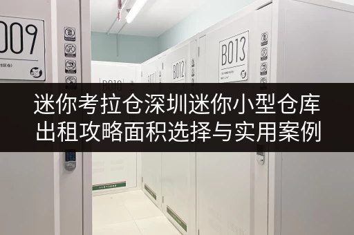 迷你考拉仓深圳迷你小型仓库出租攻略面积选择与实用案例全解析