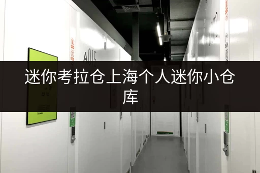 迷你考拉仓上海个人迷你小仓库，随时随地，尽享便捷生活