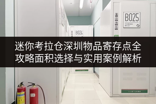 迷你考拉仓深圳物品寄存点全攻略面积选择与实用案例解析 迷你考拉仓深圳物品寄存点全攻略面积选择与实用案例解析