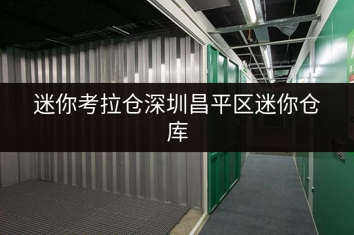 迷你考拉仓深圳昌平区迷你仓库，安全与温湿监控双重守护您的宝贝