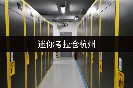 迷你考拉仓杭州，你的物品有了新家——迷你考拉仓，全时段服务，存取无忧