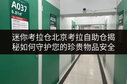 迷你考拉仓北京考拉自助仓揭秘如何守护您的珍贵物品安全与温湿恒定 迷你考拉仓北京考拉自助仓揭秘如何守护您的珍贵物品安全与温湿恒定
