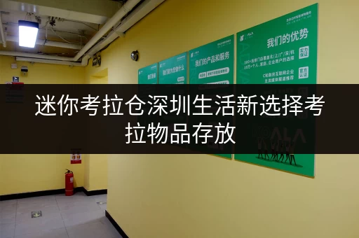 迷你考拉仓深圳生活新选择考拉物品存放，空间规划全攻略
