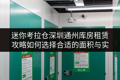 迷你考拉仓深圳通州库房租赁攻略如何选择合适的面积与实用案例解析