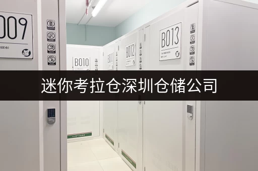 迷你考拉仓深圳仓储公司，告别货物存放烦恼，迷你考拉仓给您更省心的存储方案