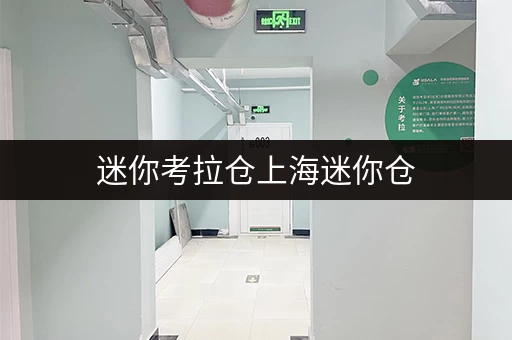 迷你考拉仓上海迷你仓，释放家庭空间，提升生活品质全攻略