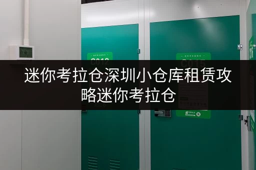 迷你考拉仓深圳小仓库租赁攻略迷你考拉仓，空间灵活，满足多样化需求