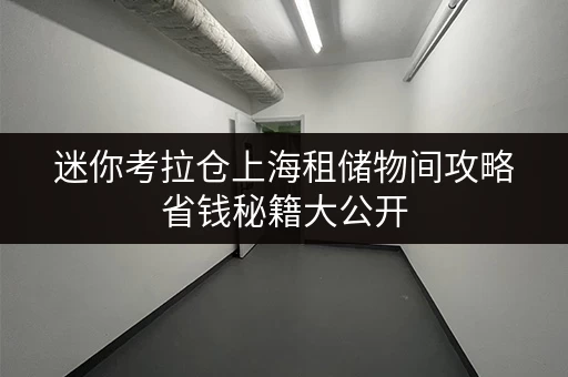 迷你考拉仓上海租储物间攻略省钱秘籍大公开 迷你考拉仓上海租储物间攻略省钱秘籍大公开