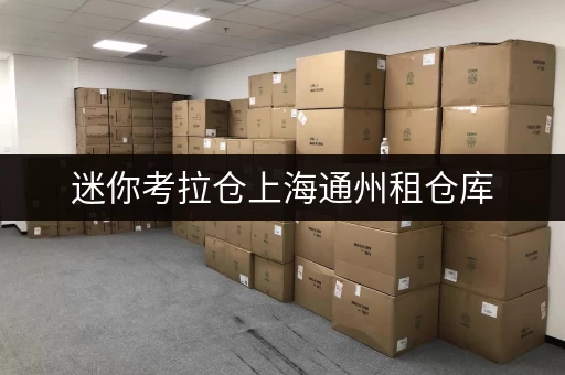迷你考拉仓上海通州租仓库,存取无忧,全时段服务尽享便捷 迷你考拉仓上海通州租仓库,存取无忧,全时段服务尽享便捷