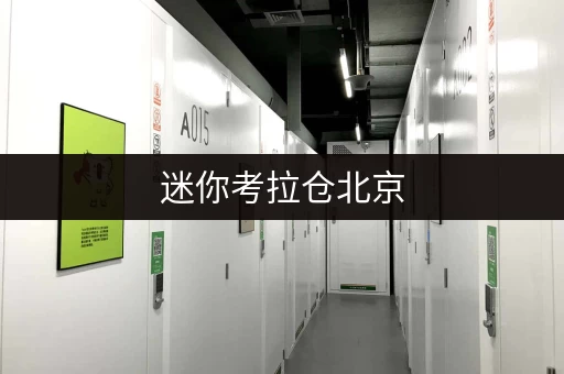 迷你考拉仓北京，你的临时储物好帮手——迷你考拉仓面积选择攻略