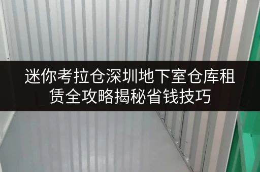 迷你考拉仓深圳地下室仓库租赁全攻略揭秘省钱技巧，轻松省心