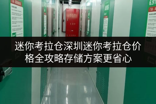 迷你考拉仓深圳迷你考拉仓价格全攻略存储方案更省心 迷你考拉仓深圳迷你考拉仓价格全攻略存储方案更省心
