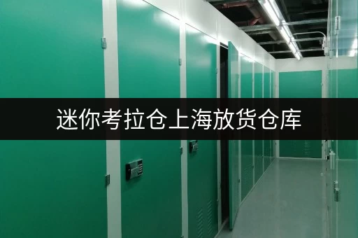 迷你考拉仓上海放货仓库,告别繁琐,随存随取新体验 迷你考拉仓上海放货仓库,告别繁琐,随存随取新体验