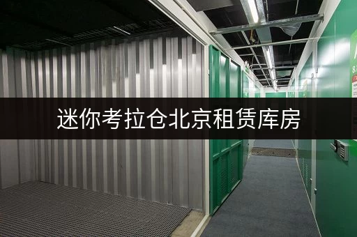 迷你考拉仓北京租赁库房,迷你考拉仓打造省心存储新体验 迷你考拉仓北京租赁库房,迷你考拉仓打造省心存储新体验