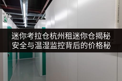 迷你考拉仓杭州租迷你仓揭秘安全与温湿监控背后的价格秘密 迷你考拉仓杭州租迷你仓揭秘安全与温湿监控背后的价格秘密