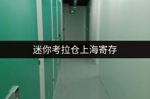 迷你考拉仓上海寄存,物品价格全攻略如何选择面积,案例分析大揭秘! 迷你考拉仓上海寄存,物品价格全攻略如何选择面积,案例分析大揭秘!