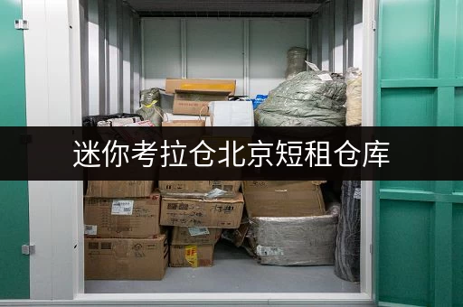 迷你考拉仓北京短租仓库,告别忙碌生活的不便,随时随地轻松存取 迷你考拉仓北京短租仓库,告别忙碌生活的不便,随时随地轻松存取