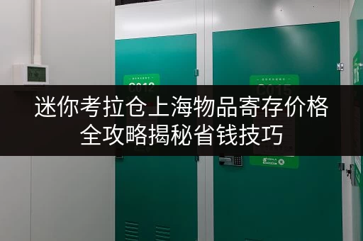 迷你考拉仓上海物品寄存价格全攻略揭秘省钱技巧，轻松存储无忧