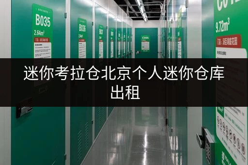 迷你考拉仓北京个人迷你仓库出租，存取无忧，全时段服务，轻松释放生活空间