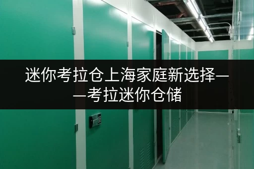 迷你考拉仓上海家庭新选择——考拉迷你仓储，存取便捷，全天候服务