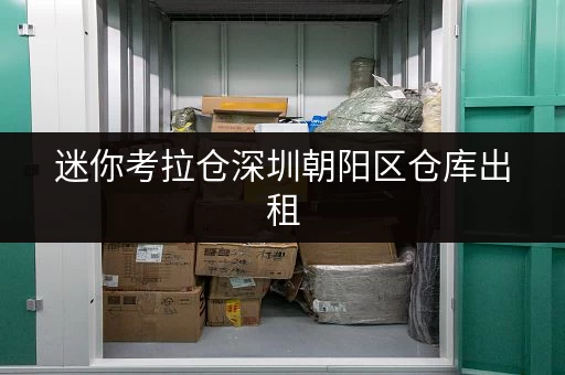 迷你考拉仓深圳朝阳区仓库出租，货物存放更省心存储方案