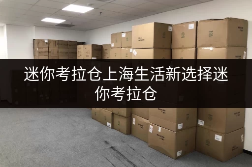 迷你考拉仓上海生活新选择迷你考拉仓，仓储神器，随存随取，让生活更便捷
