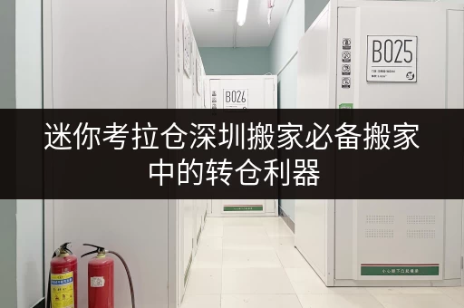 迷你考拉仓深圳搬家必备搬家中的转仓利器,迷你考拉仓全时段服务攻略 迷你考拉仓深圳搬家必备搬家中的转仓利器,迷你考拉仓全时段服务攻略