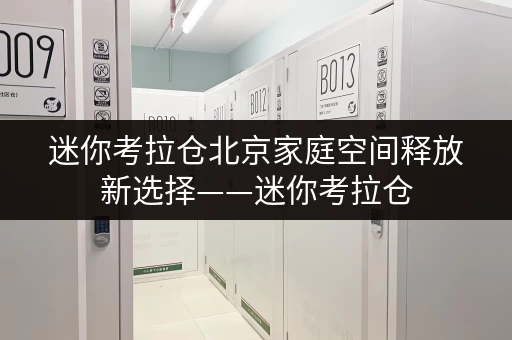 迷你考拉仓北京家庭空间释放新选择——迷你考拉仓，品质生活从此无忧