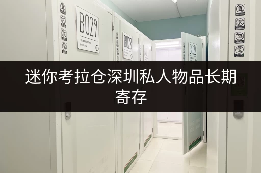 迷你考拉仓深圳私人物品长期寄存,告别空间烦恼,生活更轻松 迷你考拉仓深圳私人物品长期寄存,告别空间烦恼,生活更轻松