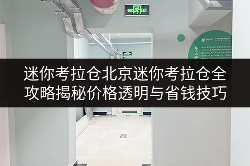 迷你考拉仓北京迷你考拉仓全攻略揭秘价格透明与省钱技巧 迷你考拉仓北京迷你考拉仓全攻略揭秘价格透明与省钱技巧