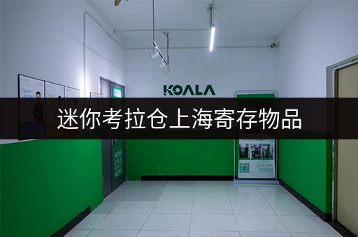迷你考拉仓上海寄存物品，告别杂乱，尽享省心生活
