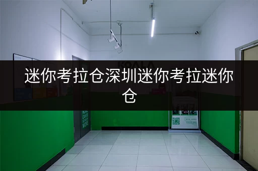 迷你考拉仓深圳迷你考拉迷你仓,为您的货物存放提供省心方案 迷你考拉仓深圳迷你考拉迷你仓,为您的货物存放提供省心方案